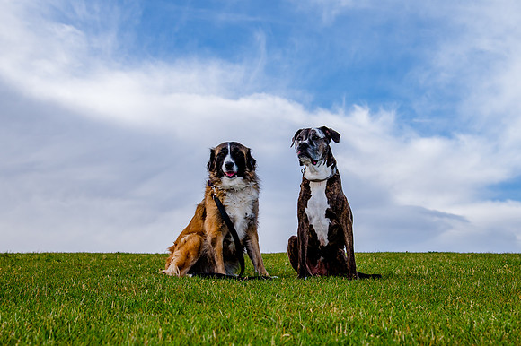 Stark_DSC0174