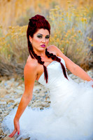Posed bride in wedding dress