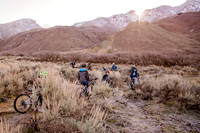Velo 202138033