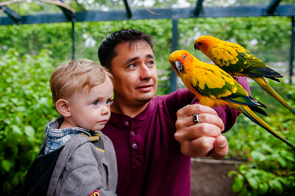 Family Outing at Tracey Aviary-1726