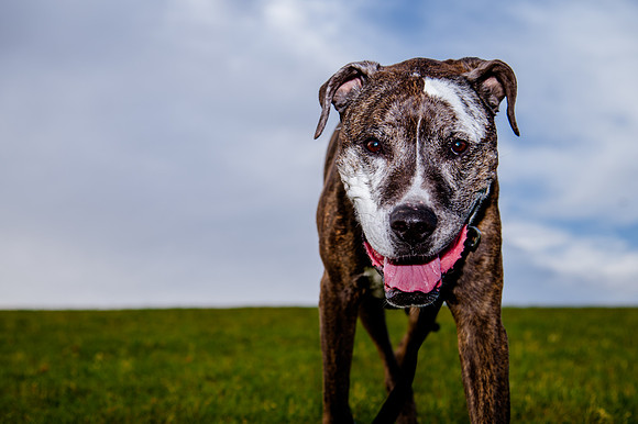 Stark_DSC0447