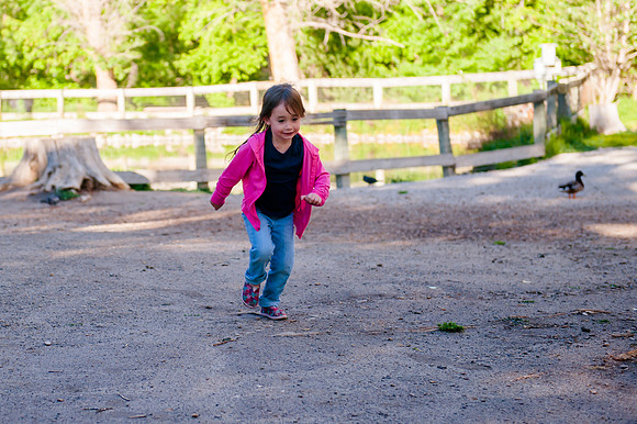 Wheeler Farm-2105