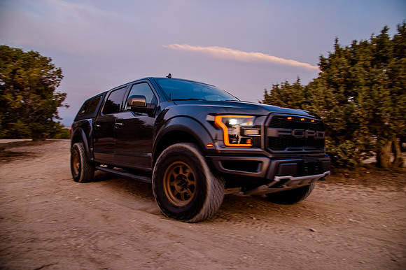 Raptor68483