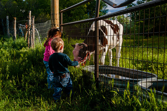 Wheeler Farm-2210