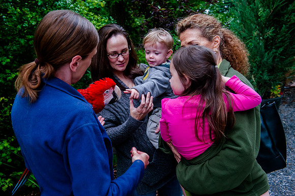 Family Outing at Tracey Aviary-2072