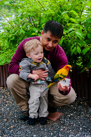 Family Outing at Tracey Aviary-1512