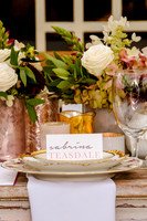 Bride Inspiration at Cactus and Tropicals-PC Smyer Image-7380