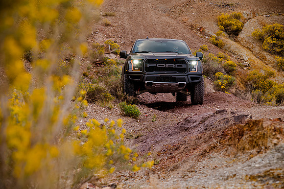 Raptor68831