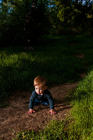 Wheeler Farm-2537