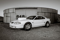 Race Car Mustang-0838