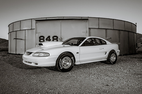 Race Car Mustang-0838