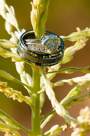 Wedding ring photo in the tall grass