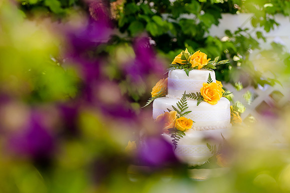 Eric and Sarah Reception 6-8-15-2100
