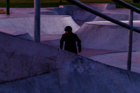 Skate 202026950