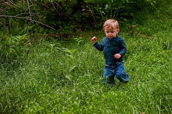 Wheeler Farm-2347