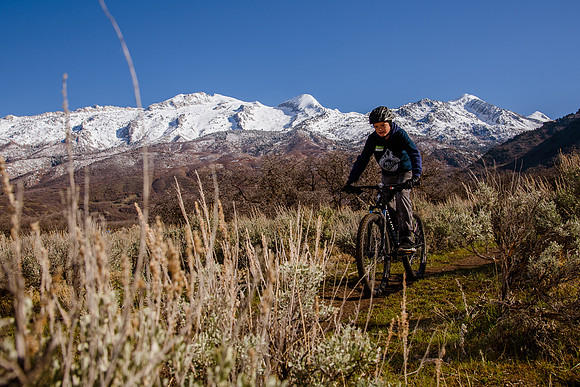 Velo 202138244