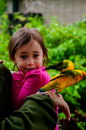 Family Outing at Tracey Aviary-1660