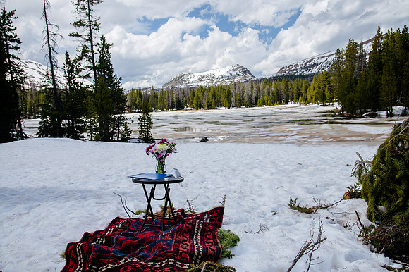 now in June: Megan Collins and Seth Underwood's Mountain Wedding