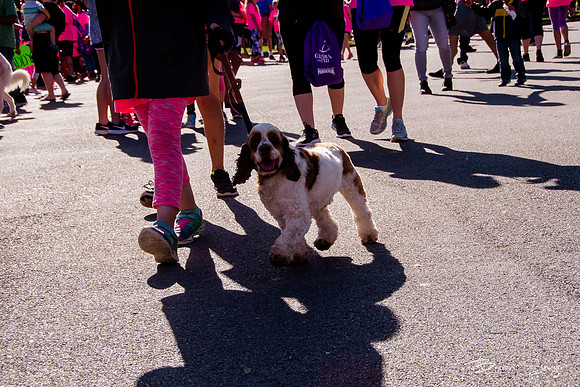 Girls on the Run 2018-6233