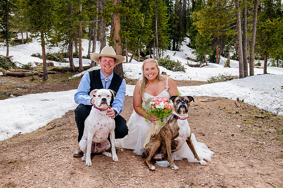 now in June: Megan Collins and Seth Underwood's Mountain Wedding