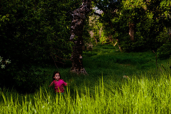 Wheeler Farm-2508