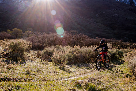Velo 202138065