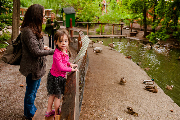 Family Outing at Tracey Aviary-1808