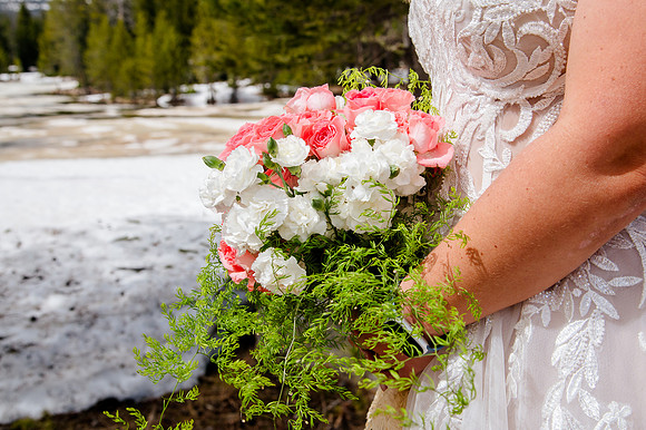 now in June: Megan Collins and Seth Underwood's Mountain Wedding