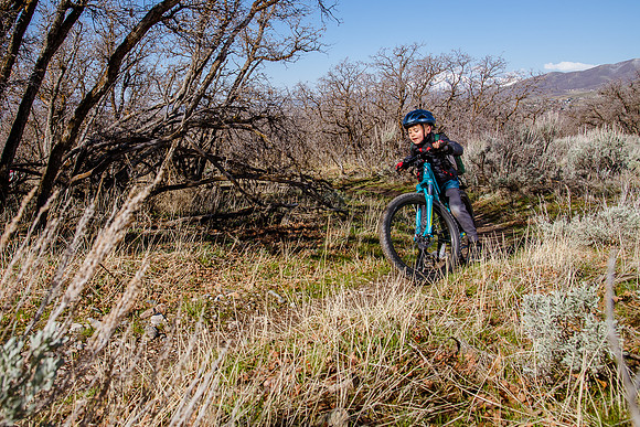 Velo 202138299