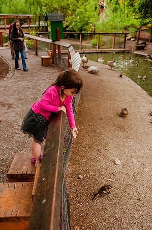 Family Outing at Tracey Aviary-1805