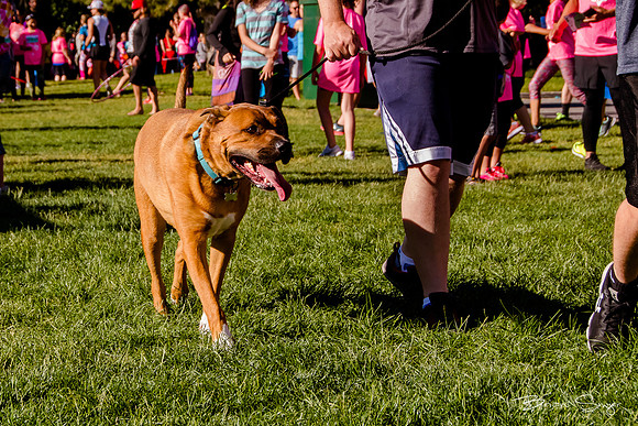 Girls on the Run 2018-6254