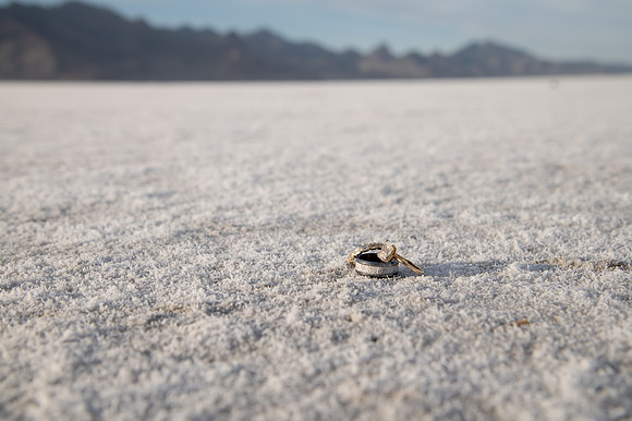 Heather Ohman & Chad Winget’s Windswept Wedding Adventure at the Utah Salt Flats020732
