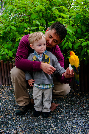 Family Outing at Tracey Aviary-1567
