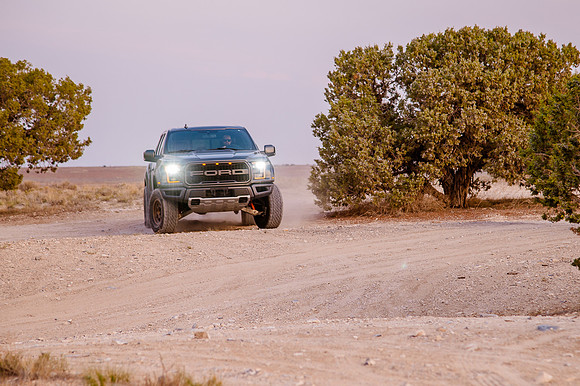 Raptor68558