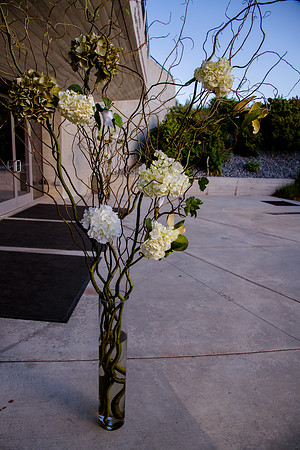 Pierpont Place Wedding at Natural History Museum 8981