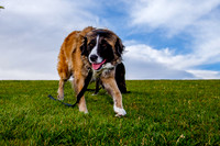Stark_DSC0240