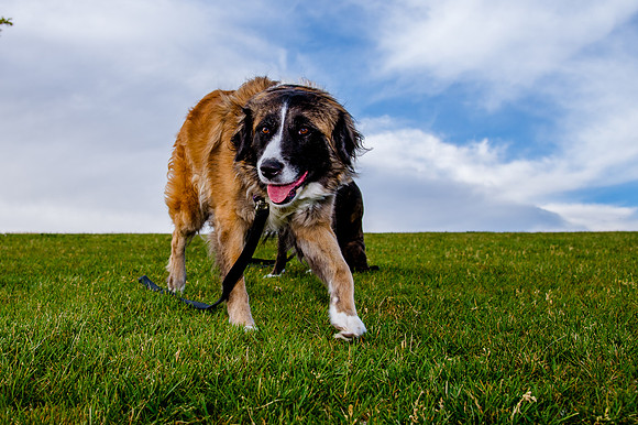 Stark_DSC0240