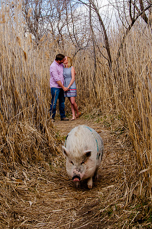 Ziggy Jay and Kristin-1280