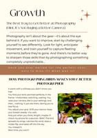 Newsletter 2