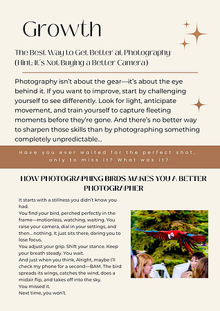 Newsletter 2