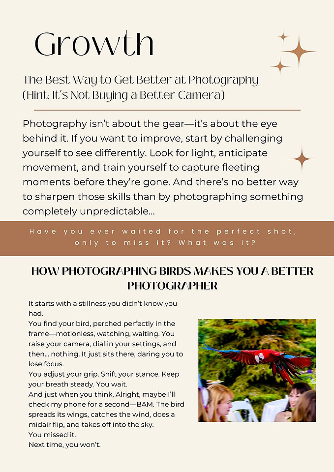 Newsletter 2