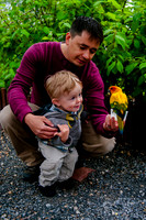 Family Outing at Tracey Aviary-1518