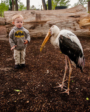 Family Outing at Tracey Aviary-1791