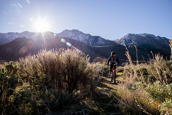Velo 202138142