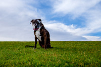 Stark_DSC0243