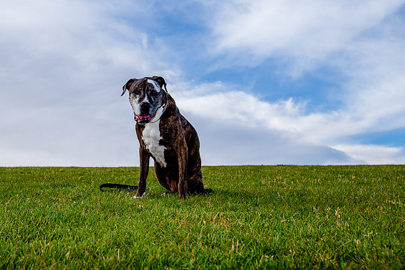 Stark_DSC0243