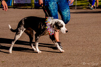 Girls on the Run 2018-5980