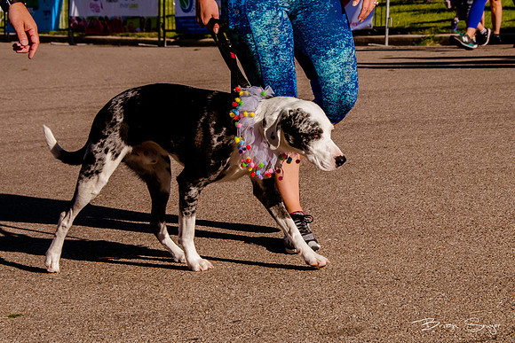 Girls on the Run 2018-5980