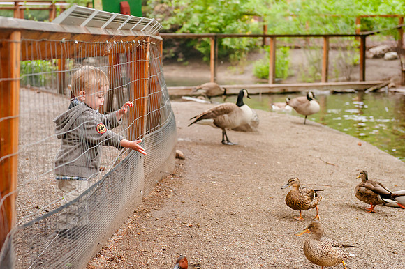 Family Outing at Tracey Aviary-1827