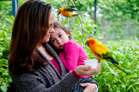 Family Outing at Tracey Aviary-1494